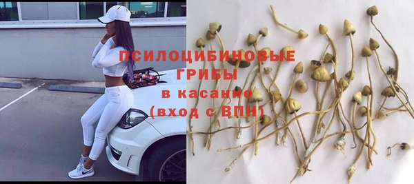стафф Новозыбков