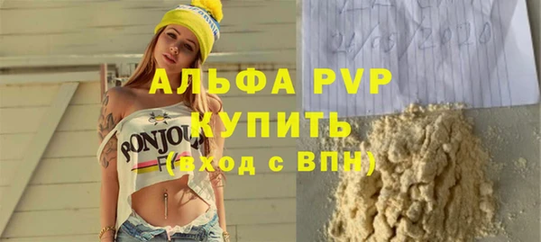 стафф Новозыбков