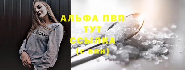 стафф Новозыбков