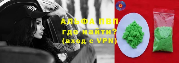 стафф Новозыбков