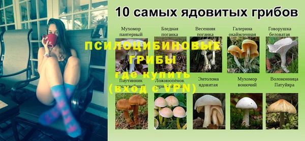стафф Новозыбков
