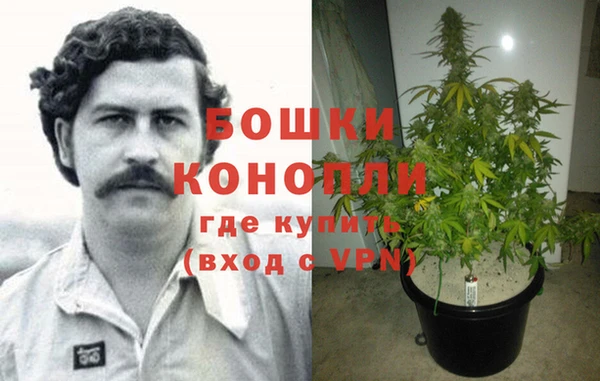 стафф Новозыбков