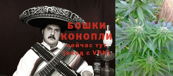 стафф Новозыбков
